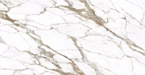 GENESIS: MACCHIA VECCHIA